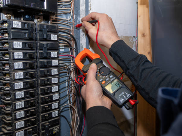 Best Electric Panel Repair  in Cuba City, WI